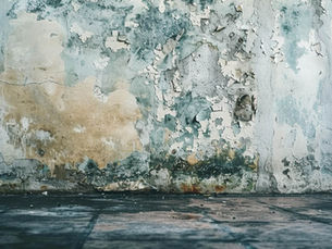 Effective Steps to Prevent Moisture and Mold