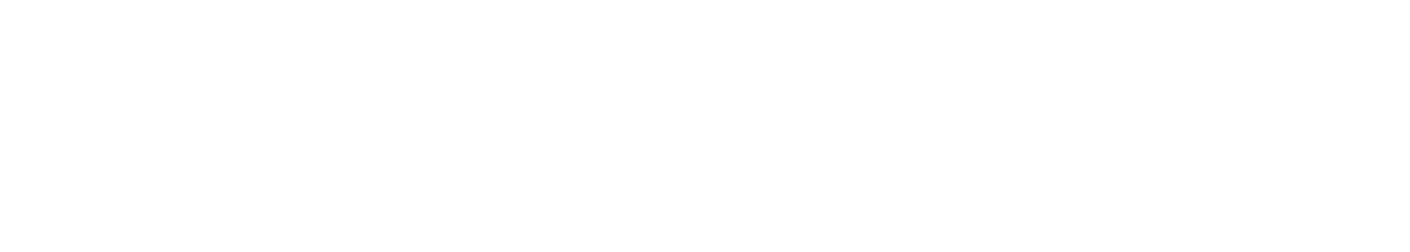 Direct pay Logo White.png