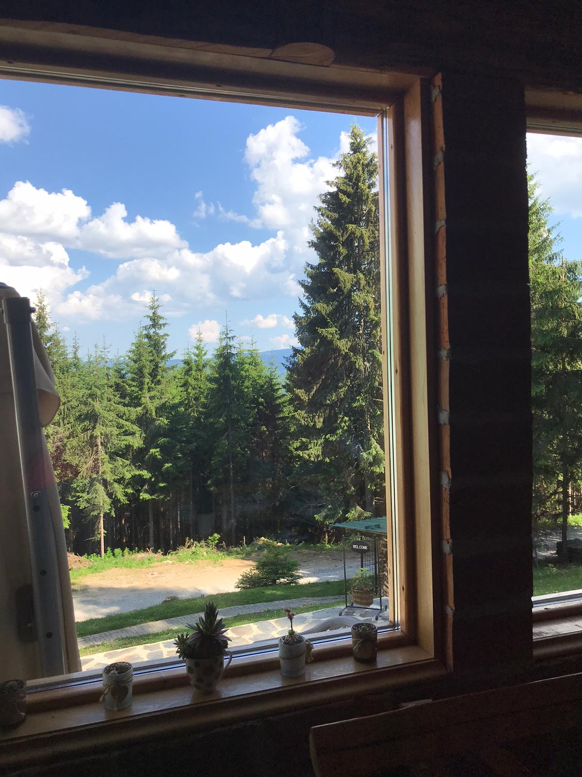 Pogled iz restorana