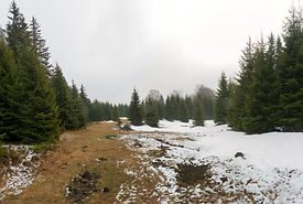 odvracenica-2_stitch_edited.jpeg