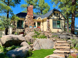 artificial turf and hardscape.jpeg