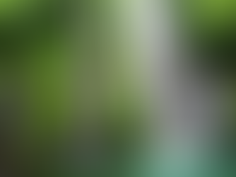 A lush tropical waterfall in Bali, Indonesia, surrounded by vibrant green foliage cascading into a serene turquoise pool.