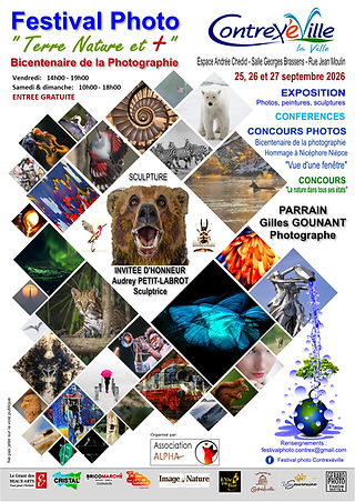 AFFICHE festival Contrex.jpg
