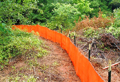 Orange Netting_edited.jpg