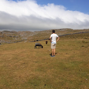 Yorkshire adventures