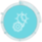 16.png