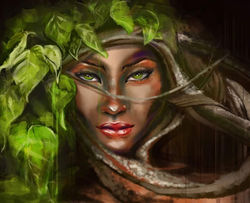 Ayahuasca