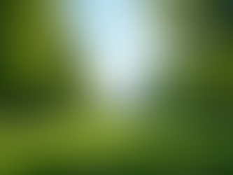 Wellness Practices for Resilient Teens in D.C.