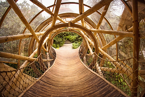 bambu.png