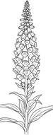 AdobeStock_1527016594.png