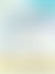 癒しからはじまる人生の再生🌻