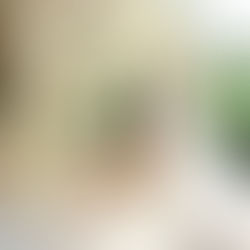 A Sarasota Wedding That Perfectly Blended Elegance, Heart, and Unforgettable Details