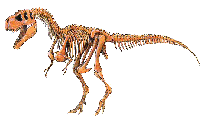 dino.gif