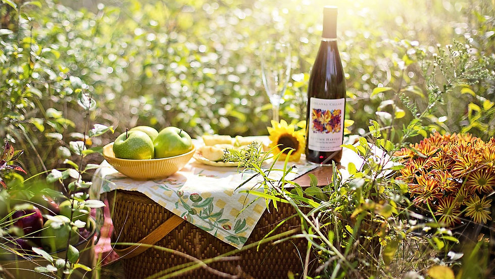 picnic wine.jpg
