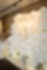 ARCHE--6.jpg
