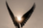 Sun%20peeking%20out%20from%20behind%20the%20rising%20phoenix_edited.jpg