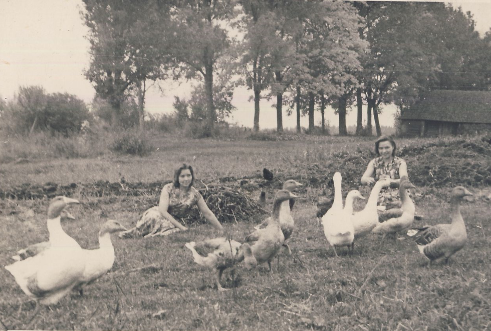 “Vecseviķi” – māja, kurā auga Auziņu ģimene. Auziņu māsas un pīles. Foto: Smilginu ģimenes arhīvs.