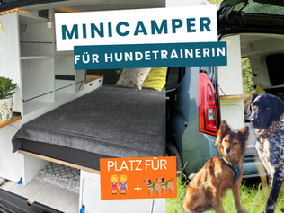 Camperausbau für Hundeliebhaber: Der individuelle Toyota Proace L2 für Andreas Hundeschule