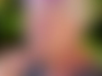 Author Spotlight Val Whitehouse