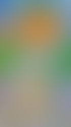 Author Spotlight Samantha Glynn