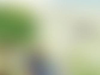 Author Spotlight Tessa Woodward