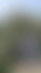 台北玫瑰園 Linda愛魅心情恣意人生網誌