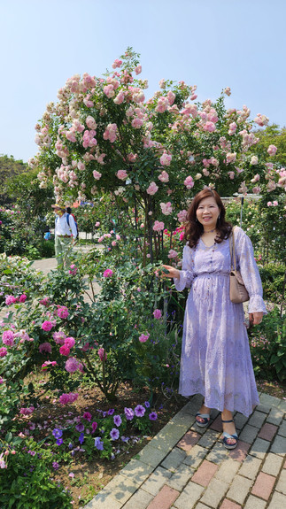 台北玫瑰園 Linda愛魅心情恣意人生網誌