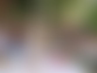 我在普羅旺斯遠離塵囂, 仙境裡的早餐體驗分享