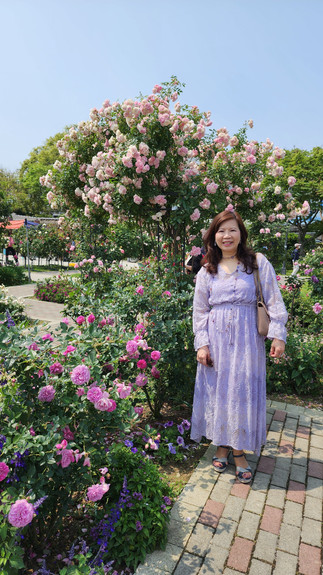 台北玫瑰園 Linda愛魅心情恣意人生網誌