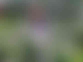 台北玫瑰園 Linda愛魅心情恣意人生網誌