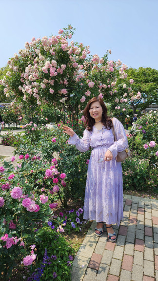 台北玫瑰園 Linda愛魅心情恣意人生網誌