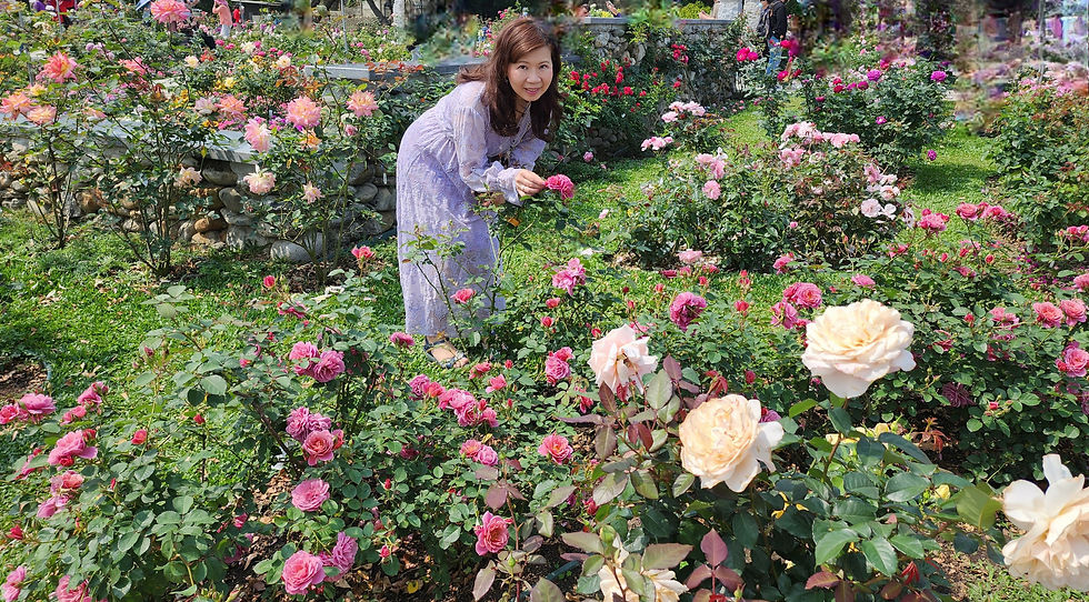 台北玫瑰園 Linda愛魅心情恣意人生網誌