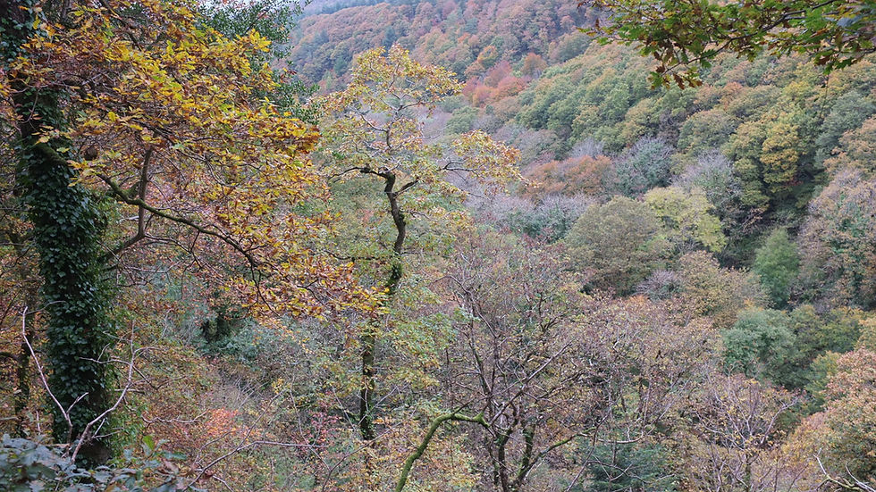 DSCF2388.JPG