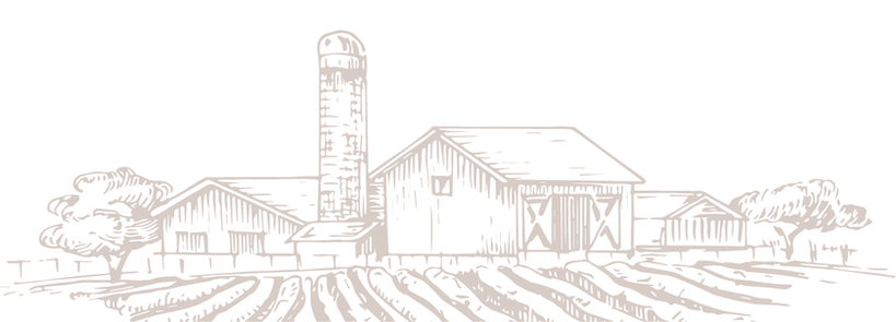 campo.png