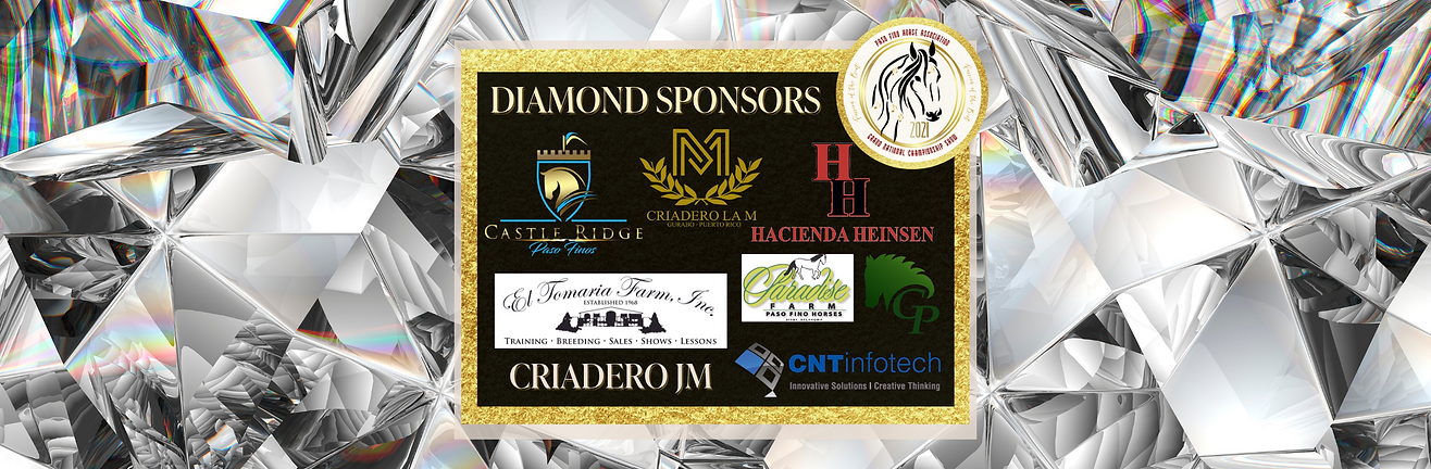 Copy of Copy of Copy of Diamond Sponsors (1).png