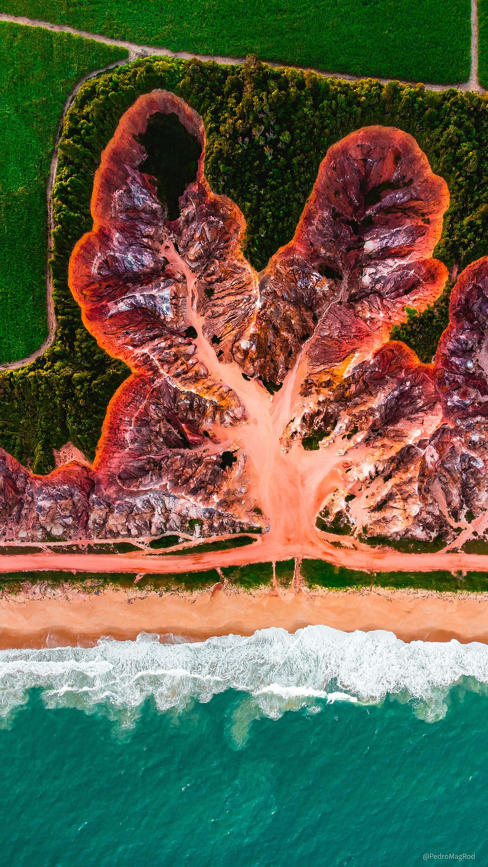 -falésias-da-praia-do-gunga-em-v0-75c6e5n9ubxc1