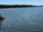 IMG_0151.jpeg