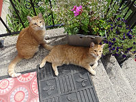 DSC03682.JPG