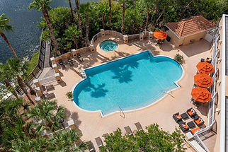 Hilton St. Petersburg Carillon Park pool.jpg