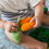 Thumbnail: Oli & Carol Cathy the Carrot Mini Doudou-Teether