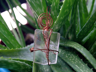 DSC02911_edited.jpg