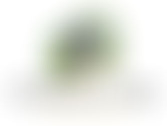 So it Begins - My Heart and Hope in Every Pixel