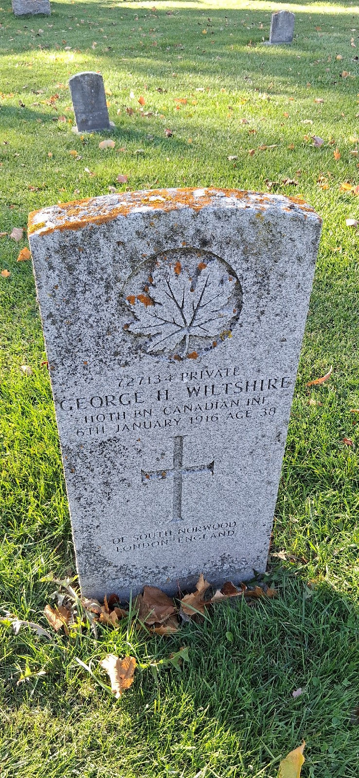 Fallen in the Call: Remembering Private George H. Wiltshire and Private David Upper