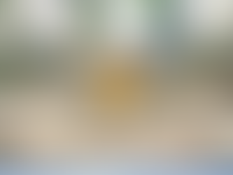 Sustainability Traps Investors Should Watch For