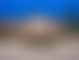 Check out Wayne Gretzky's former Thousand Oaks mega mansion