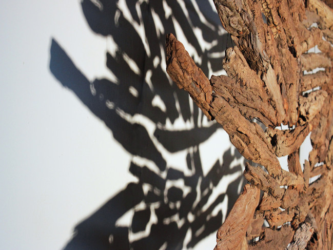 untitled image