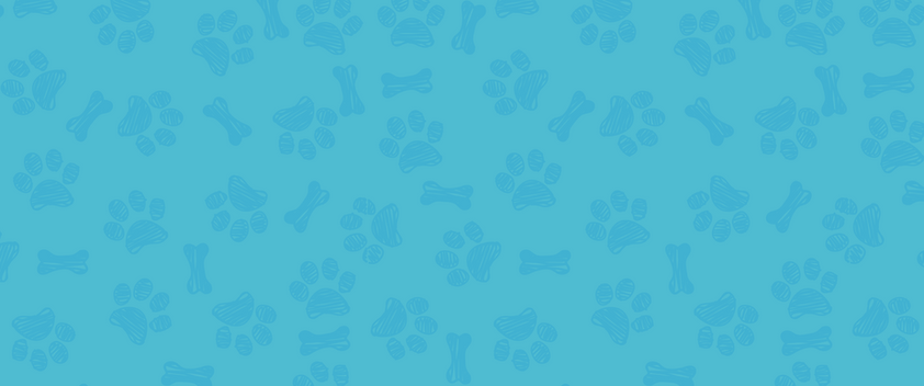 dog print pattern blue.png