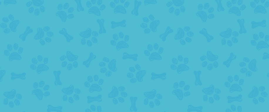 dog print pattern blue.png