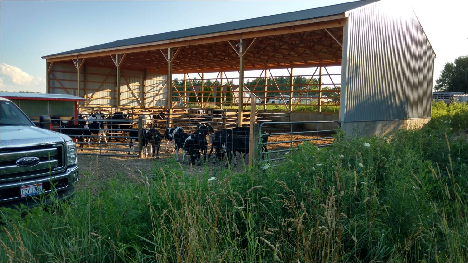 Locally Raised Beef, Pork & Chicken Louisville Ellington Farms Ohio