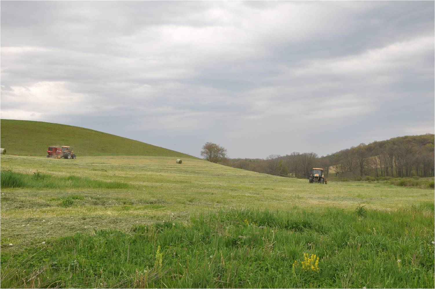 Locally Raised Beef, Pork & Chicken Louisville Ellington Farms Ohio